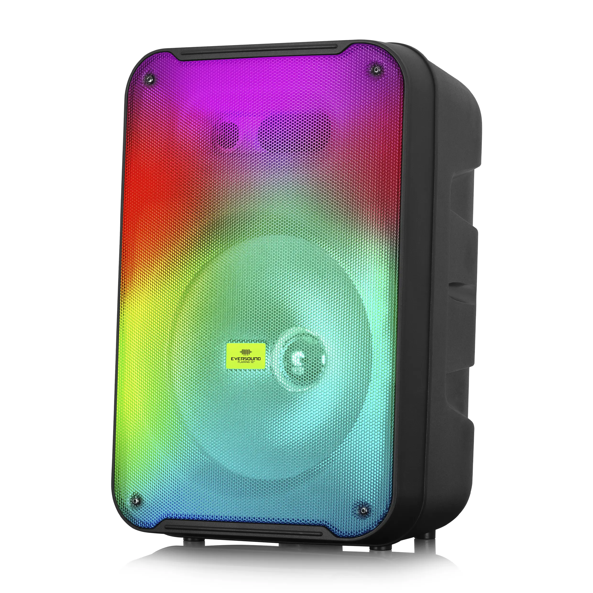 Portable Speaker 12"